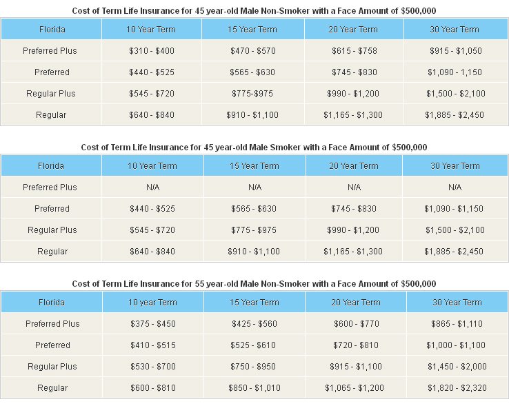 cost of term life insurance